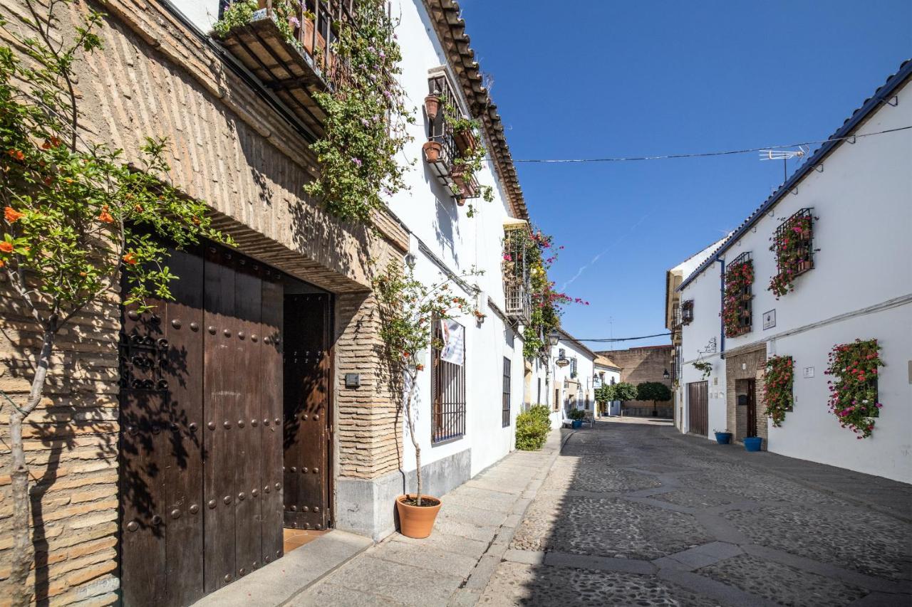 Apartamento Con Patio Cordobes En San Basilio & Parking Cordoba Exterior photo