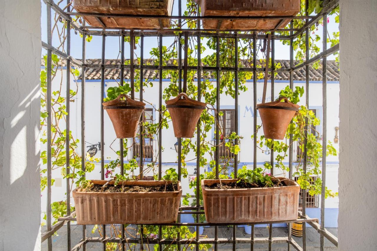 Apartamento Con Patio Cordobes En San Basilio & Parking Cordoba Exterior photo
